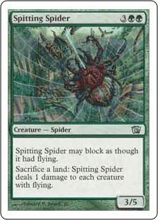 毒吐き蜘蛛